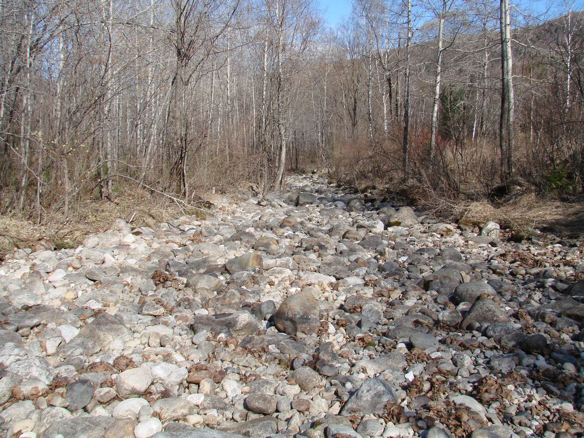 Слюдянка, image of landscape/habitat.