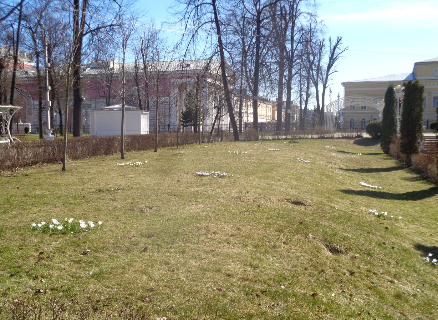 Городской сад, image of landscape/habitat.