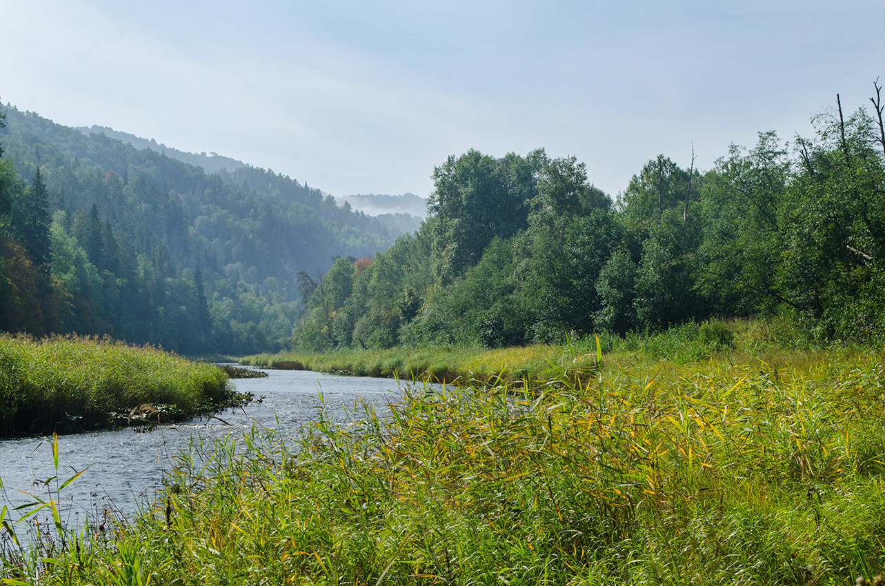 Окрестности Бакеевского моста, image of landscape/habitat.