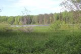 Image of landscape