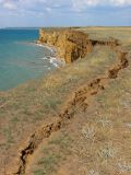 Мыс Лукулл, image of landscape/habitat.