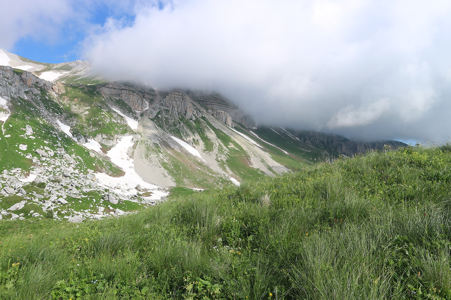 Гора Гузерипль, image of landscape/habitat.