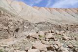Image of landscape
