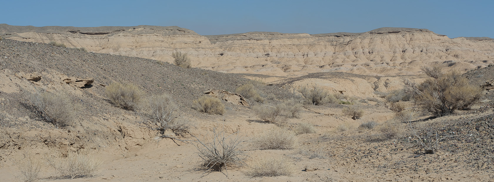 Сарымсакты, image of landscape/habitat.
