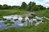 Товарковский, image of landscape/habitat.