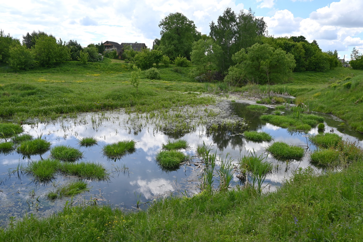 Товарковский, image of landscape/habitat.
