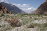 Image of landscape