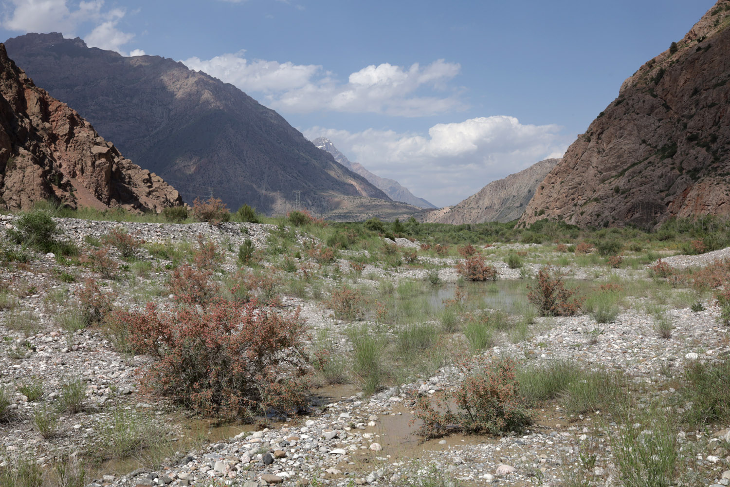 Устье реки Сарытаг, image of landscape/habitat.