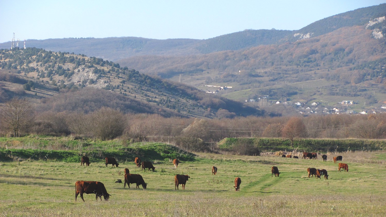 Байдарская долина, image of landscape/habitat.