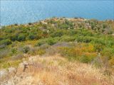Image of landscape