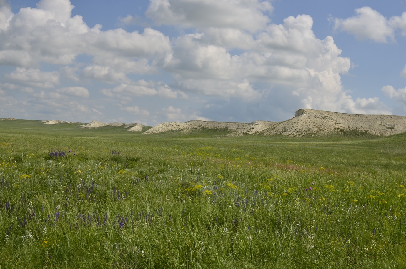 Верхнечебендинские меловые горы, image of landscape/habitat.
