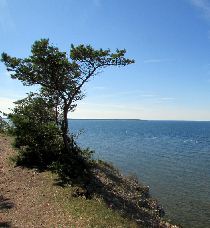 Заповедник Панга, image of landscape/habitat.