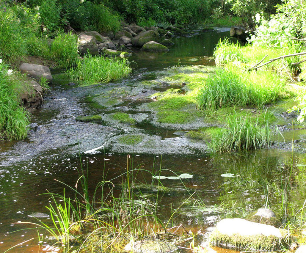 Ильд в среднем течении, image of landscape/habitat.