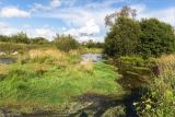 Окрестности Пудости, image of landscape/habitat.