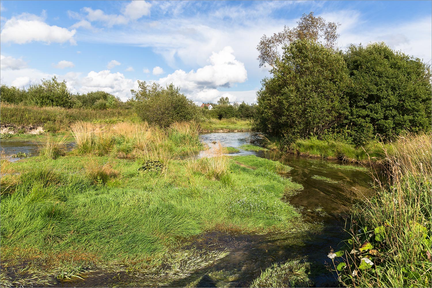 Окрестности Пудости, image of landscape/habitat.