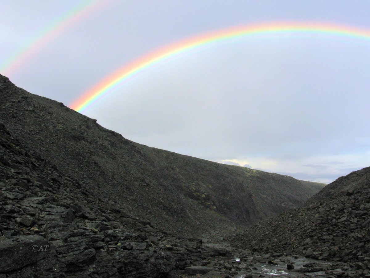 Ущелье Чинглусуай, image of landscape/habitat.