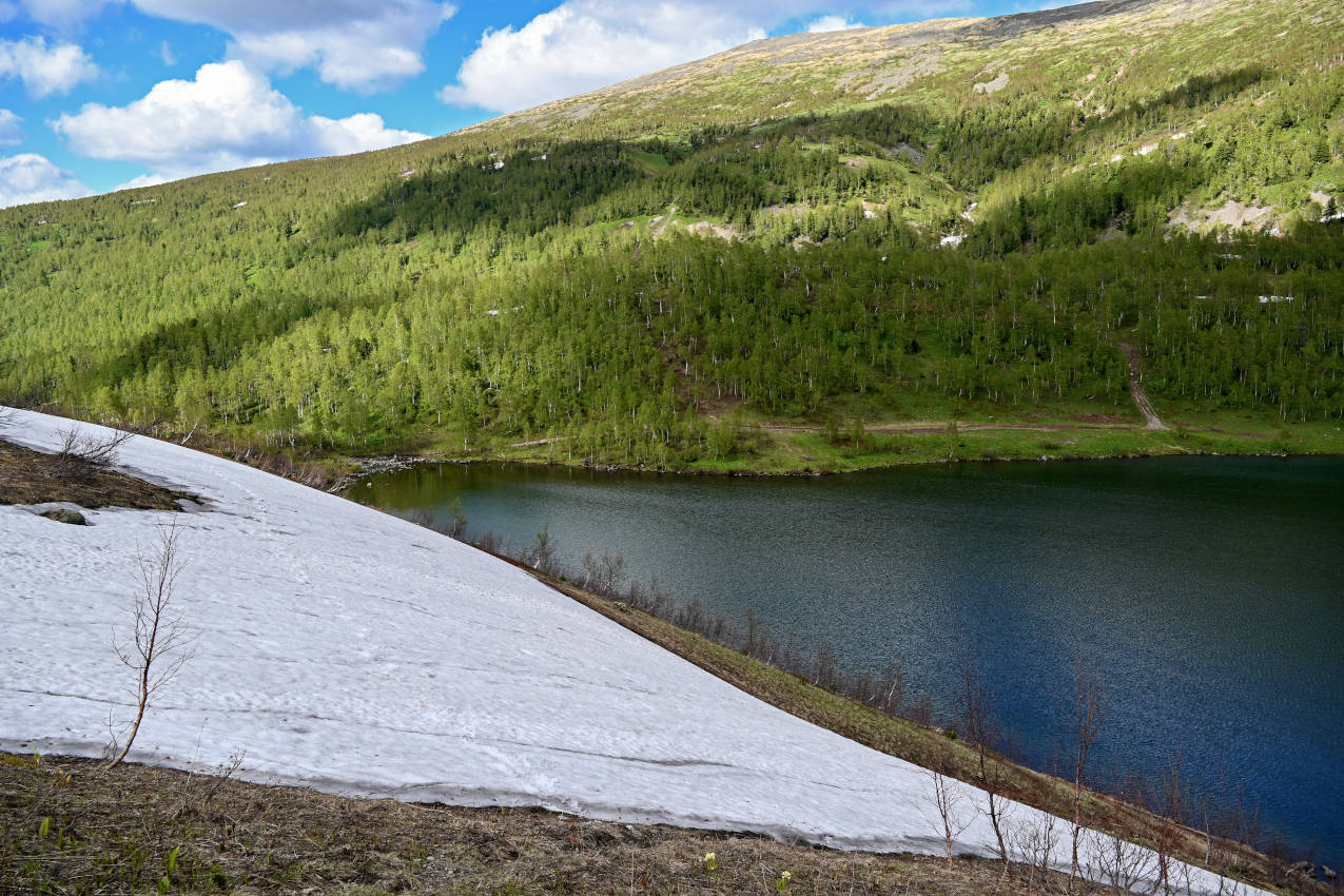 Озеро Ивановское, image of landscape/habitat.