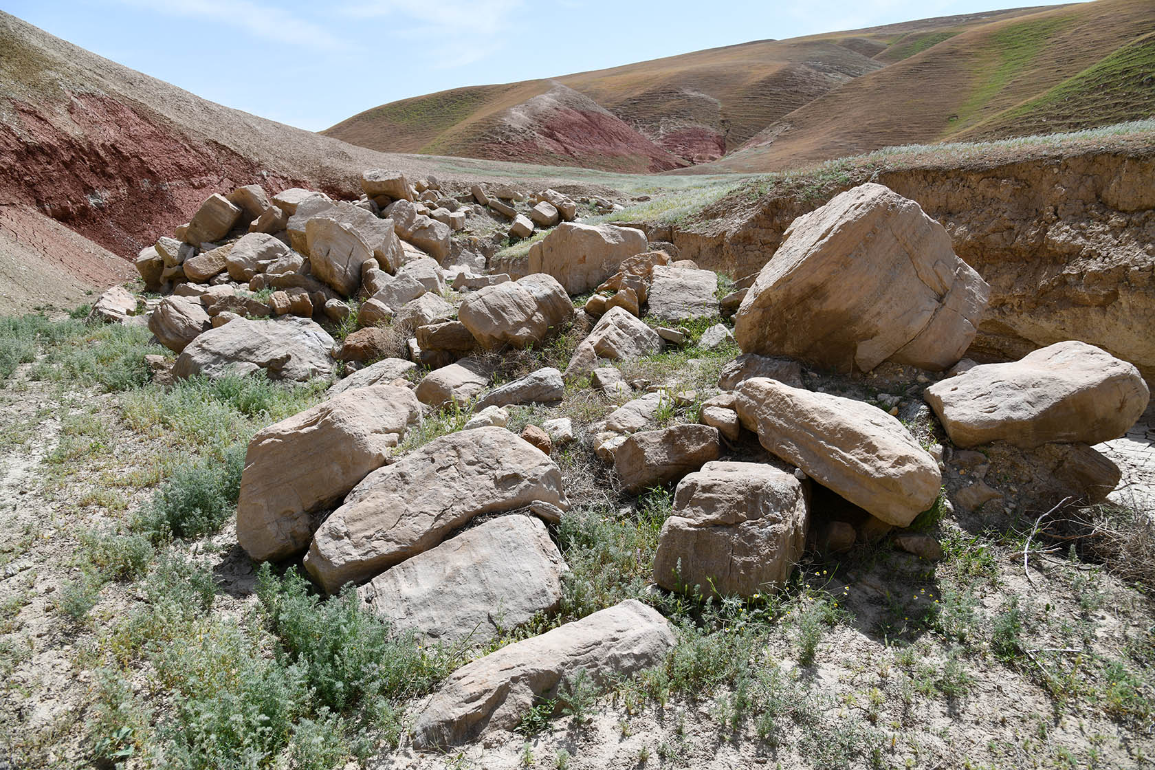 Перевал Дандан-Чикан, image of landscape/habitat.