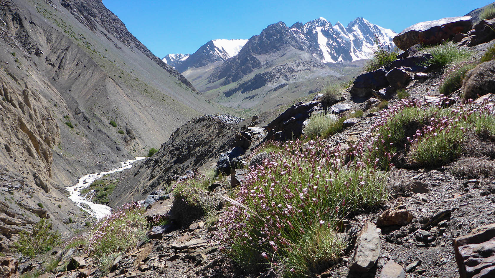 Шадау, image of landscape/habitat.