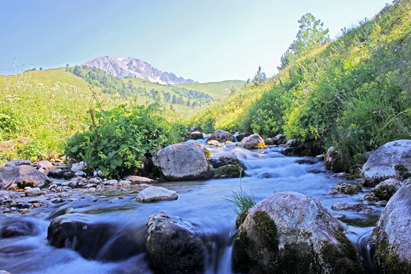 Верхняя Цица, image of landscape/habitat.