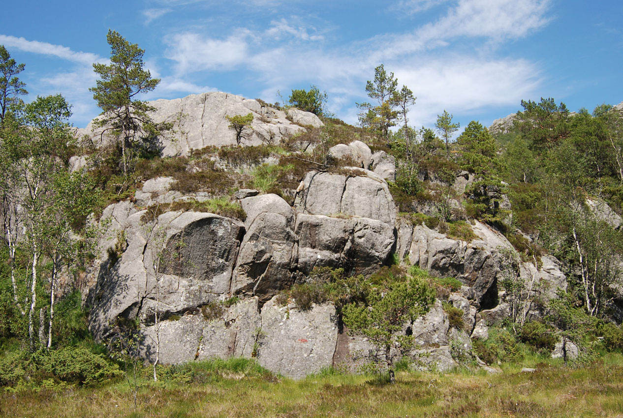 Прекестулен, image of landscape/habitat.