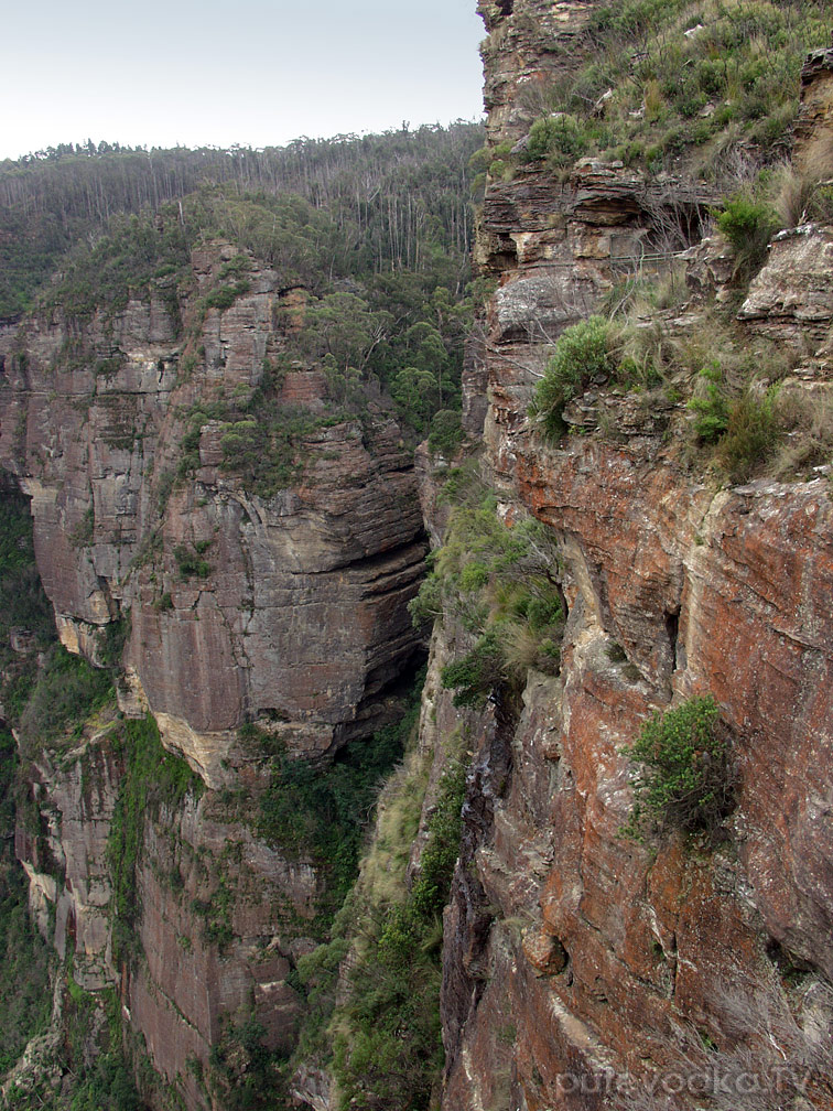 Голубые горы, image of landscape/habitat.