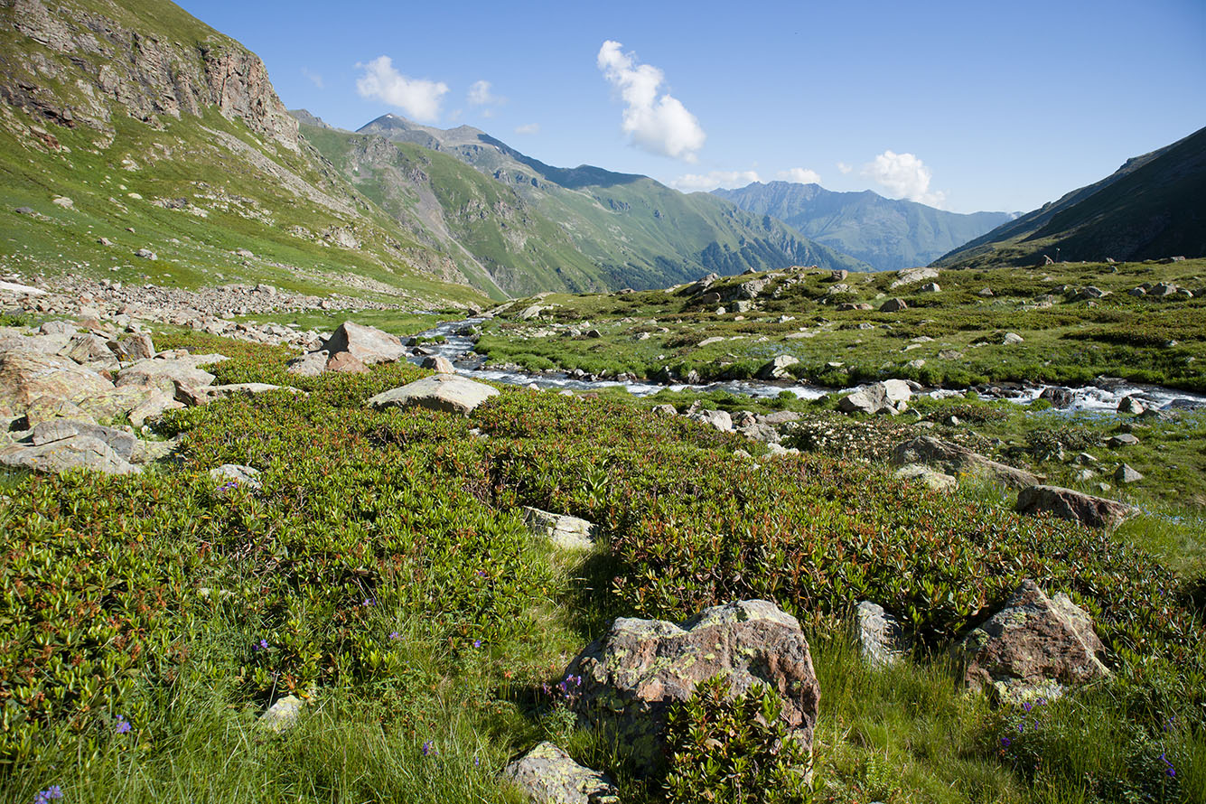 Верхняя стоянка Имеретин. тропы, image of landscape/habitat.