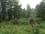 Image of landscape