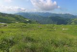 Гора Гузерипль, image of landscape/habitat.