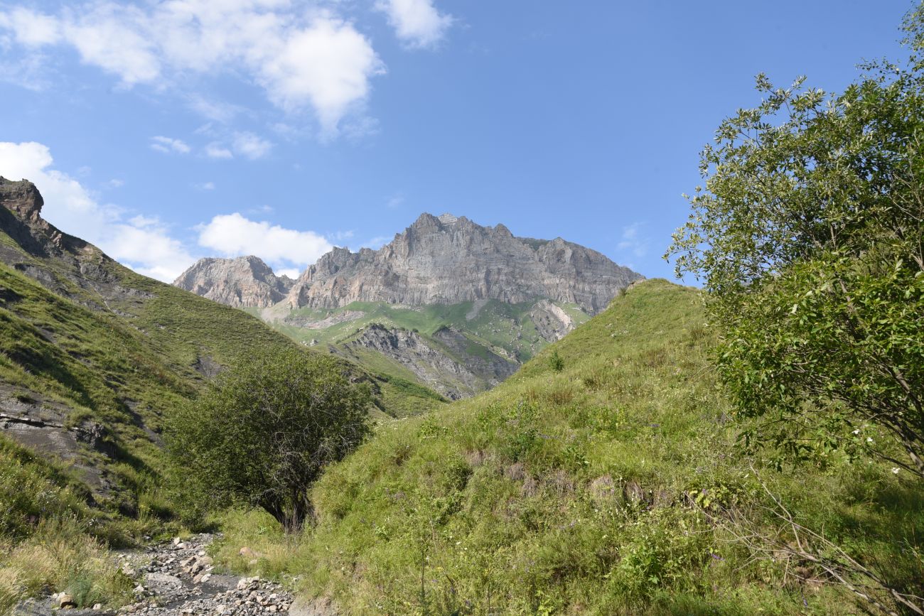 Выше водопада Цеси, image of landscape/habitat.