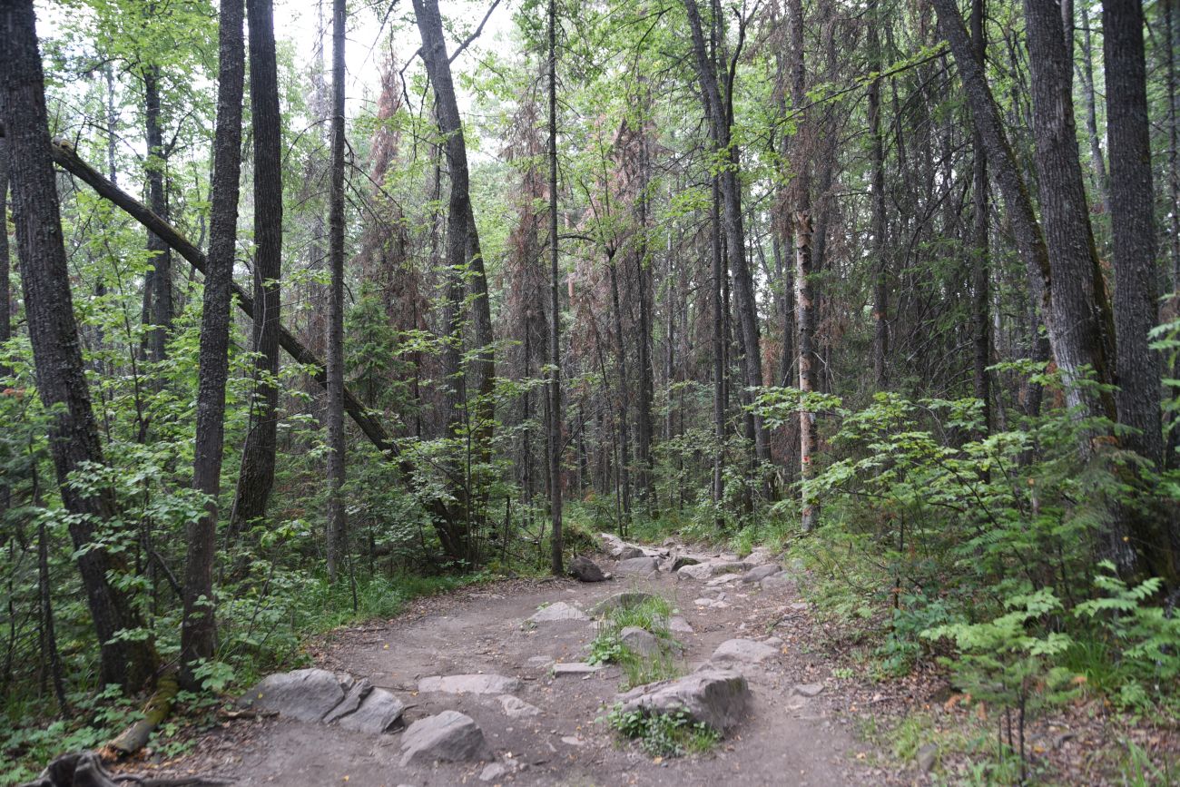 Железный мост, image of landscape/habitat.