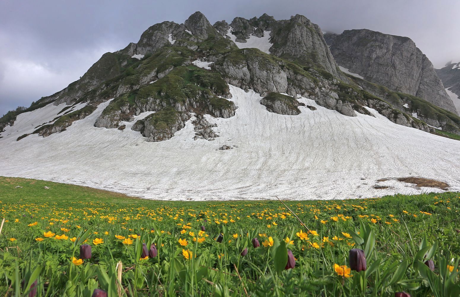 Пшехо-Су, image of landscape/habitat.
