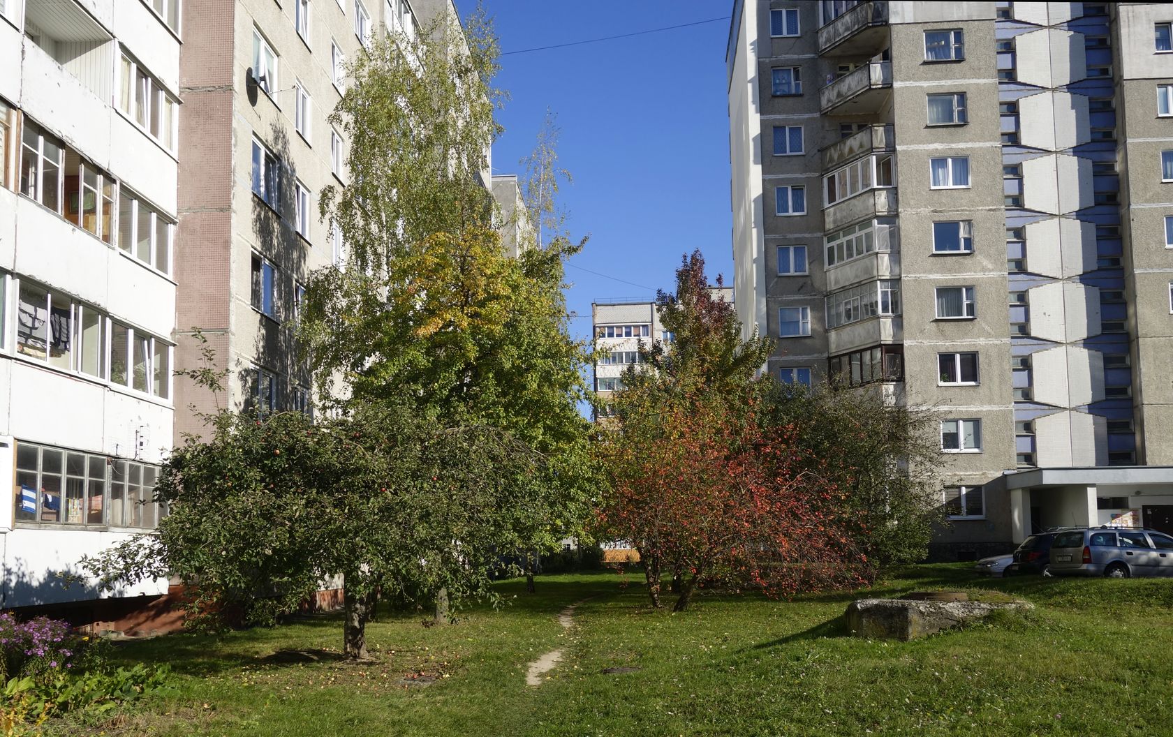 Девятовка, изображение ландшафта.