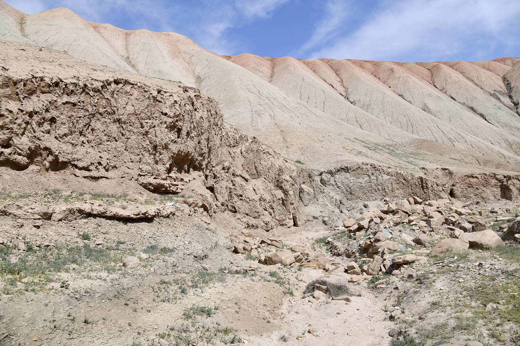 Перевал Дандан-Чикан, image of landscape/habitat.