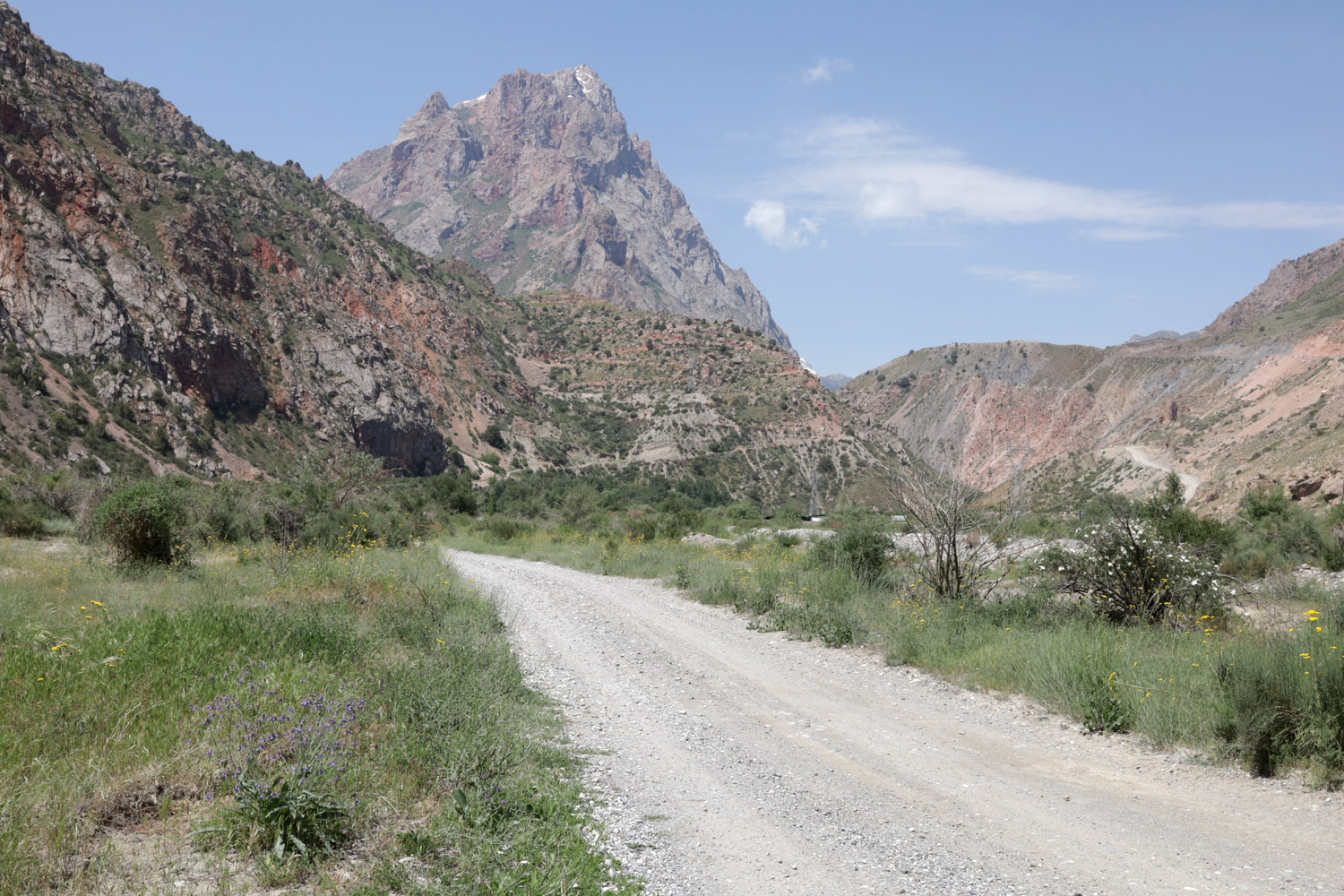 Устье реки Сарытаг, image of landscape/habitat.