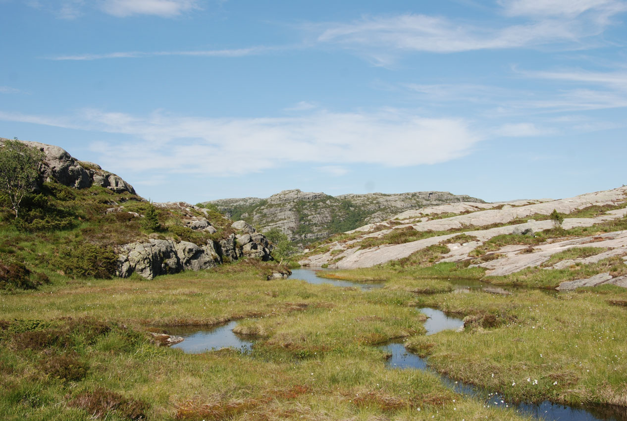 Прекестулен, image of landscape/habitat.