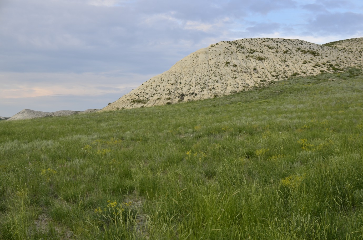 Верхнечебендинские меловые горы, image of landscape/habitat.