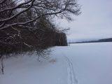 Image of landscape