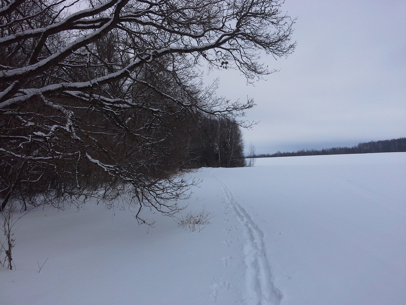 Окрестности деревни Чёлохово, image of landscape/habitat.