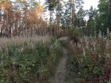 Верхняя Терраса и окрестности, image of landscape/habitat.