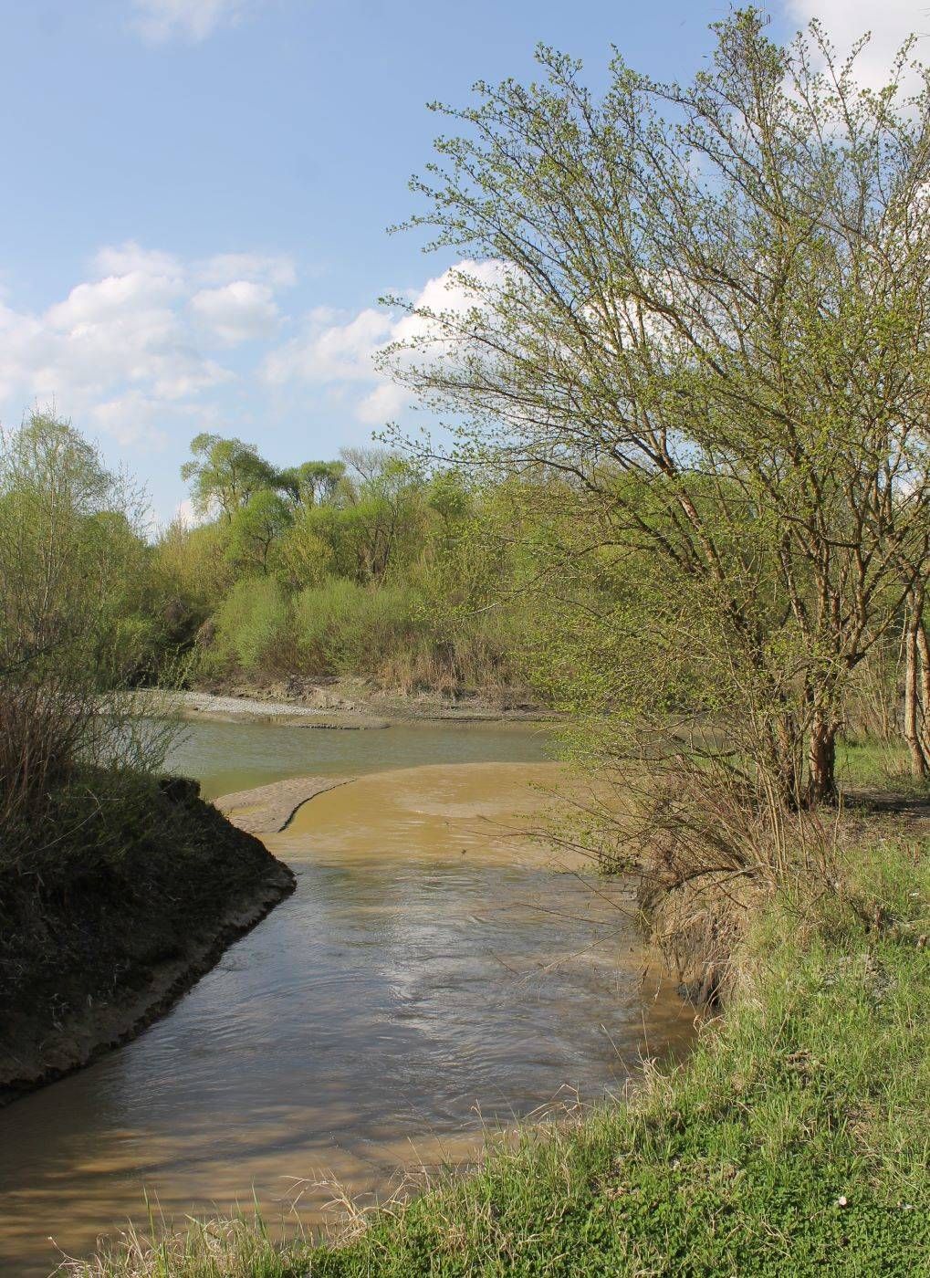 Сухотское, image of landscape/habitat.