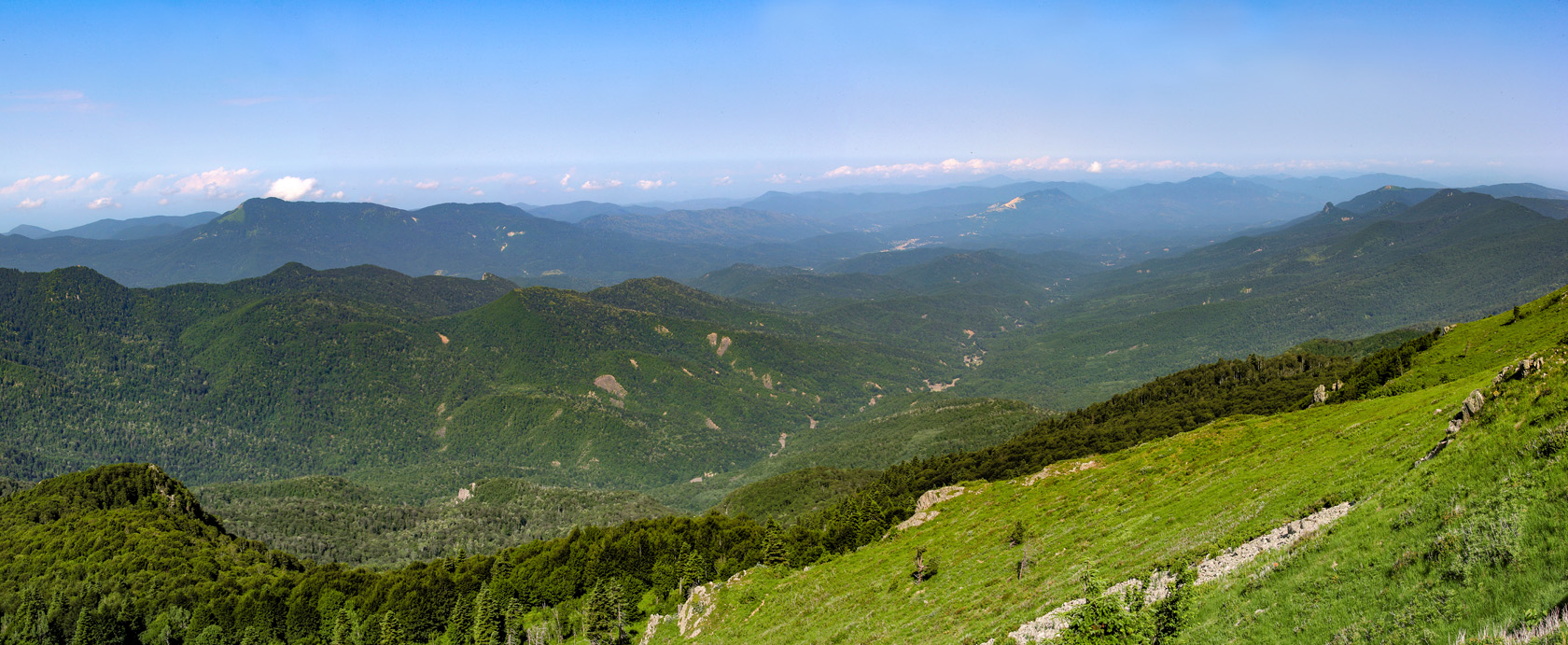 Массив горы Семиглавая, image of landscape/habitat.