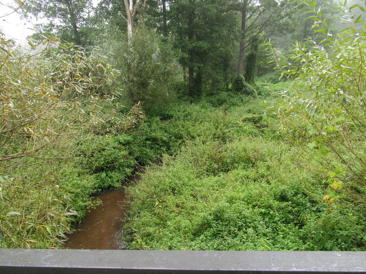 Река Негримовка, image of landscape/habitat.