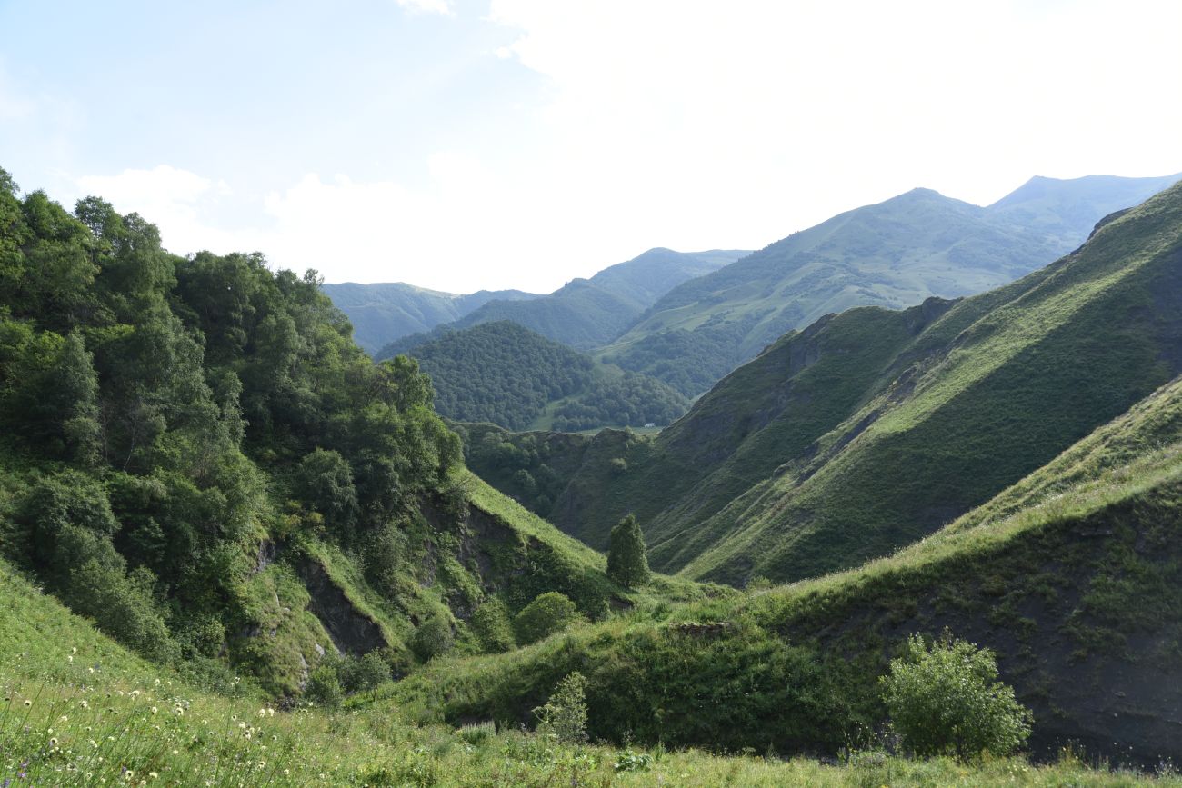 Выше водопада Цеси, image of landscape/habitat.