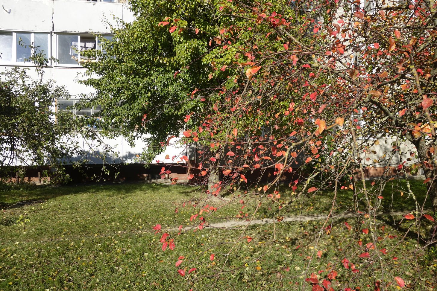 Девятовка, image of landscape/habitat.