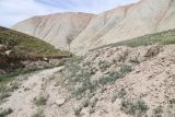 Image of landscape