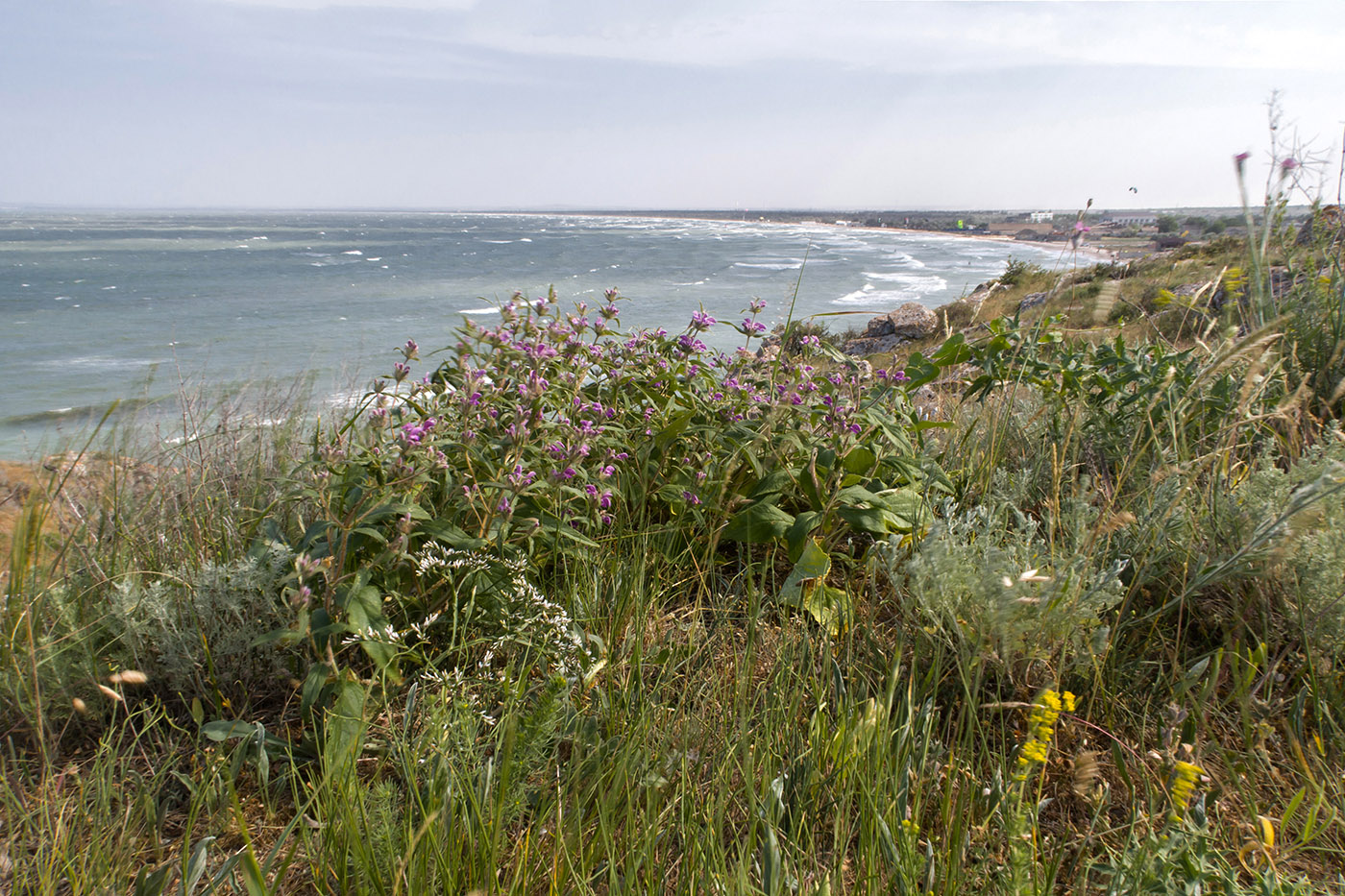 Казантип, изображение ландшафта.