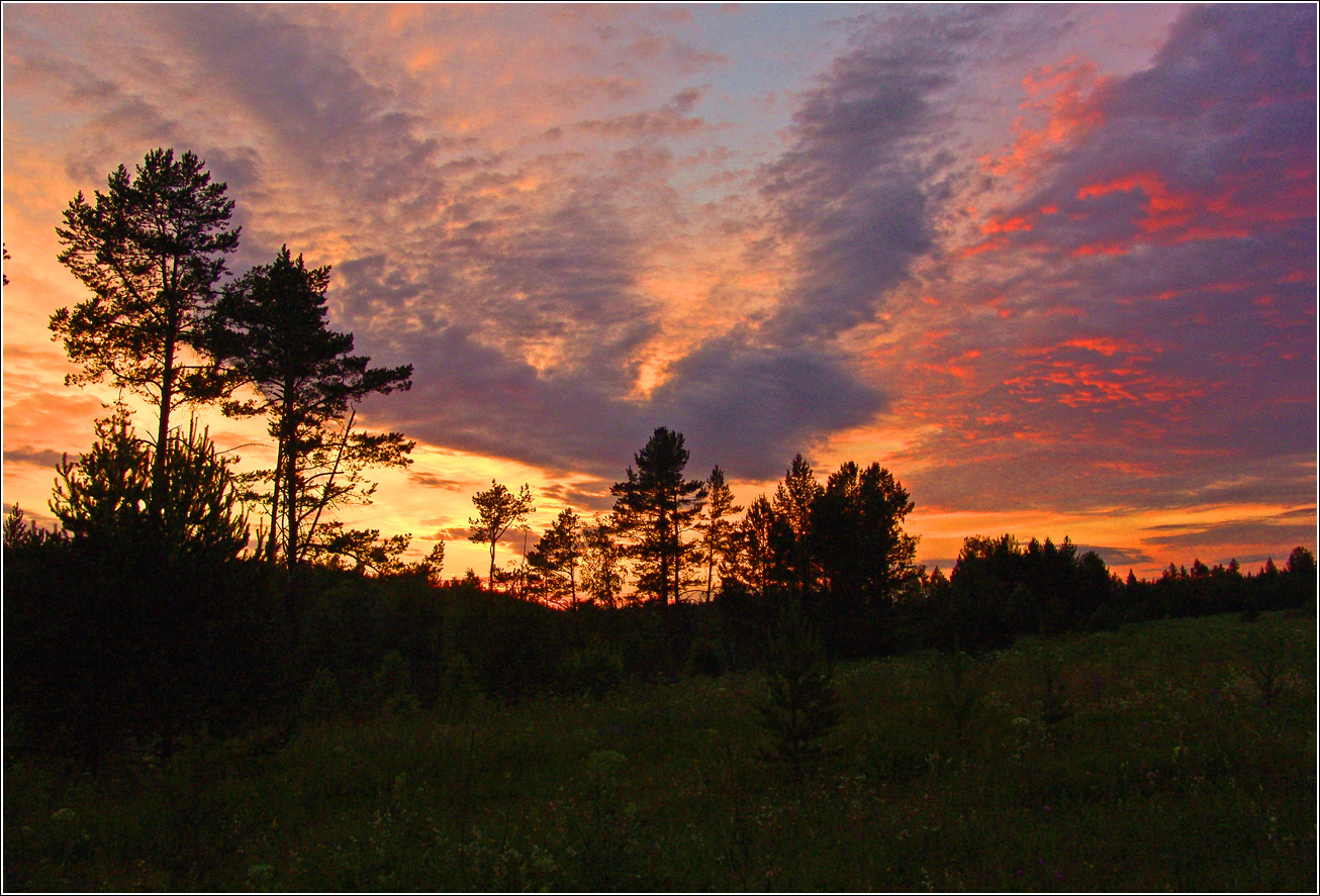 Окрестности Хрипани, image of landscape/habitat.