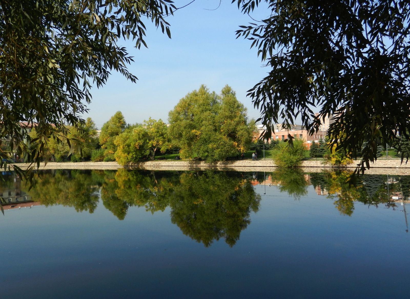 Перовский парк, image of landscape/habitat.