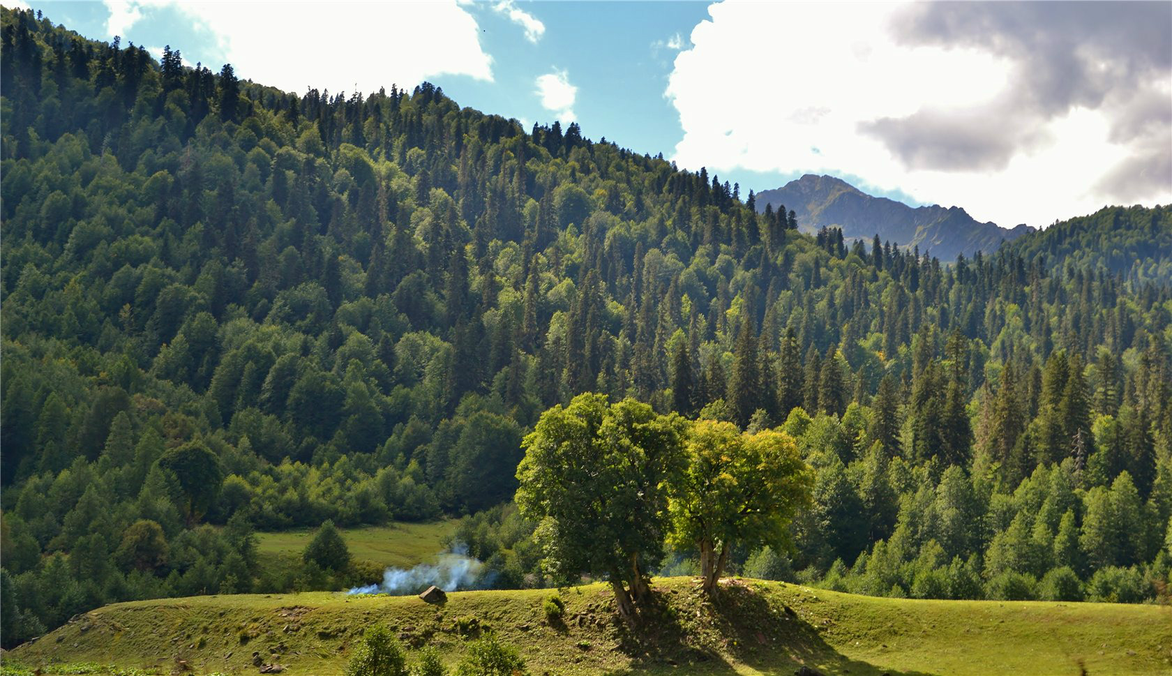 Авадхара (Ауадхара), image of landscape/habitat.